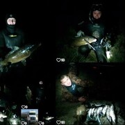 ���������� �����������, ���� ������� �������, 41 ���, ������������ ��� ������, ����� � ���������