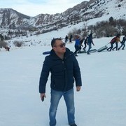  ,   Mirabzal, 41 ,     , c , 