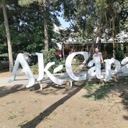  ,   , 44 ,     , c 