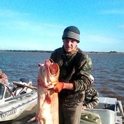  ,   , 41 ,   