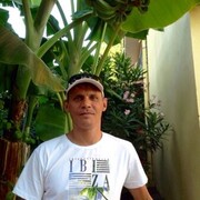 ���������� �����, ���� ������� ���������, 55 ���, ������������ ��� ������, ����� � ���������, c�������� ���������