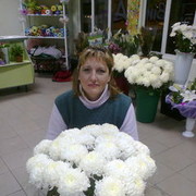  ,   , 50 ,  