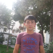 ���������� �������, ���� ������� 94 6665007, 37 ���, ������������ ��� ������, ����� � ���������, c�������� ���������, ���������