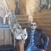 ���������� ��������, ���� ������� ����, 38 ���, ������������ ��� ������, ����� � ���������