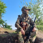 ���������� ������, ���� ������� �������, 41 ���, ������������ ��� ������, ����� � ���������, c�������� ���������, ���������