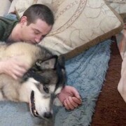 ���������� ���������, ���� ������� �����, 29 ���, ������������ ��� ������, ����� � ���������