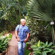 ���������� ������, ���� ������� ������, 62 ����, ������������ ��� ������, ����� � ���������, c�������� ���������