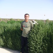  ,   , 50 ,  