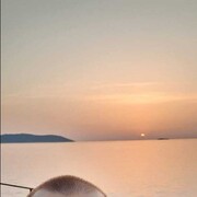 ���������� ������, ���� ������� �����, 43 ����, ������������ ��� ������