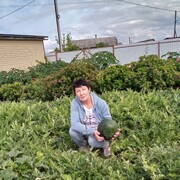 ,   , 62 ,   c 