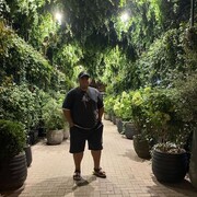 ���������� ����, ���� ������� �����, 33 ����, ������������ ��� ������, ����� � ���������