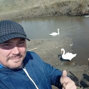 ���������� �����������, ���� ������� �����, 46 ���, ������������ ��� ������, ����� � ���������