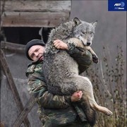 ���������� ���������, ���� ������� ���������, 48 ���, ������������ ��� ������, ����� � ���������, c�������� ���������