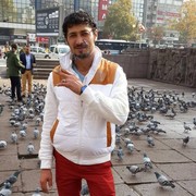  ,   , 37 ,   