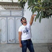 ���������� ����, ���� ������� Kamran, 33 ����, ������������ ��� ������, ����� � ���������, c�������� ���������