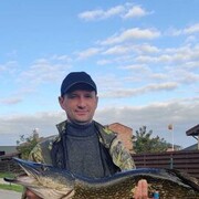 ���������� �����, ���� ������� ���������, 48 ���, ������������ ��� ����� � ���������, c�������� ���������