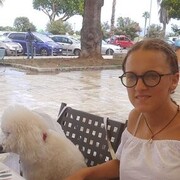 ���������� �����, ���