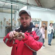 ���������� ����, ���� ������� �������, 38 ���, ������������ ��� ������, ����� � ���������