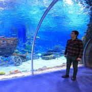  ,   Ibragim, 29 ,   ,   , c 