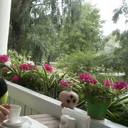  ,   , 52 ,   ,   , c , 