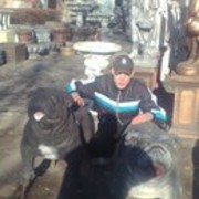  ,   , 31 ,   
