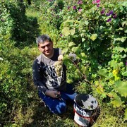  ,   Koba, 43 ,   ,   , c 
