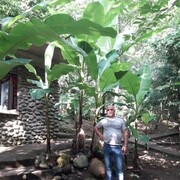  ,   Iuza, 56 ,     , c 
