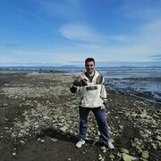  ,   , 27 ,   , 