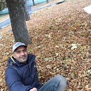 ,   ALI, 41 ,   ,   , c 