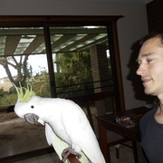 ���������� ������, ���� ������� �����, 41 ���, ������������ ��� ������, ����� � ���������, c�������� ���������