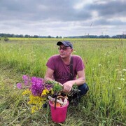 ���������� �����������, ���� ������� ���������, 50 ���, ������������ ��� ������, ����� � ���������