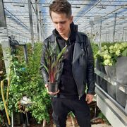 ���������� ������, ���� ������� ���, 28 ���, ������������ ��� ������, ����� � ���������, ���������