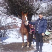 ���������� ����������, ���� ������� ������, 42 ����, ������������ ��� ������, ����� � ���������, c�������� ���������