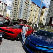 ���������� ������, ���� ������� Ivan, 42 ����, ������������ ��� ������, ����� � ���������, c�������� ���������