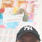 ���������� �����������, ���� ������� �������, 44 ����, ������������ ��� ������, ����� � ���������, c�������� ���������