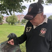  ,   , 56 ,   ,   , c 