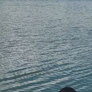 ���������� ����, ���� ������� ��������, 47 ���, ������������ ��� ������, ����� � ���������, c�������� ���������