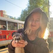 ���������� ������, ���� ������� ��������, 26 ���, ������������ ��� ������, ����� � ���������