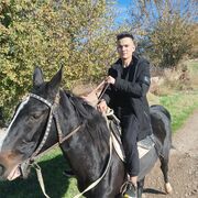 ���������� �������, ���� ����� �����, 22 ����, ������������ ��� ������, ����� � ���������