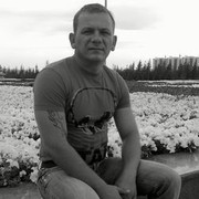  ,   , 53 ,   