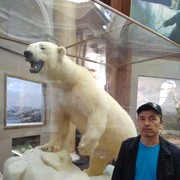  ,   , 48 ,     , c , 