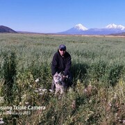 ���������� �������������-����������, ���� ������� ��������, 45 ���, ������������ ��� ������, ����� � ���������, c�������� ���������