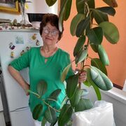 ���������� ������������, ���� ������� ���������, 75 ���, ������������ ��� ������, ����� � ���������, c�������� ���������