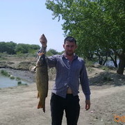 ,   Ram, 41 ,   