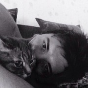 ���������� ������ ���, ���� ������� Max Max, 31 ���, ������������ 