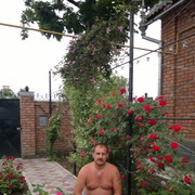  --,   , 61 ,   ,   , c 