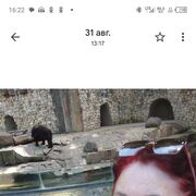 ���������� ����������, ������� �����, 49