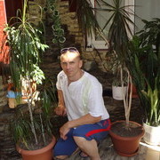  ,   , 51 ,   