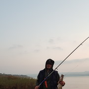 ���������� ������, ���� ������� �����, 39 ���, ������������ ��� ������