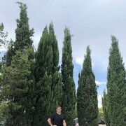  ,   VitaLik, 41 ,  